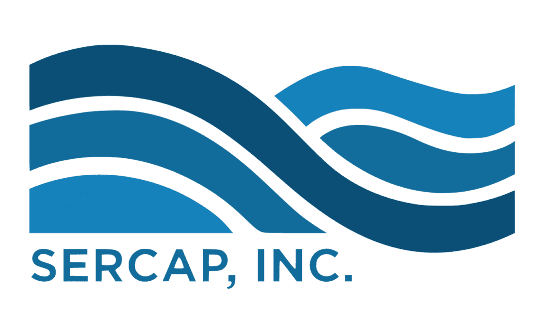 Turning Obstacles into Opportunities: How SERCAP Can Assist You with Your Small Business