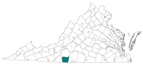 Martinsville & Henry County Map