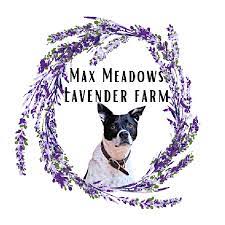 max meadows lavender farm logo