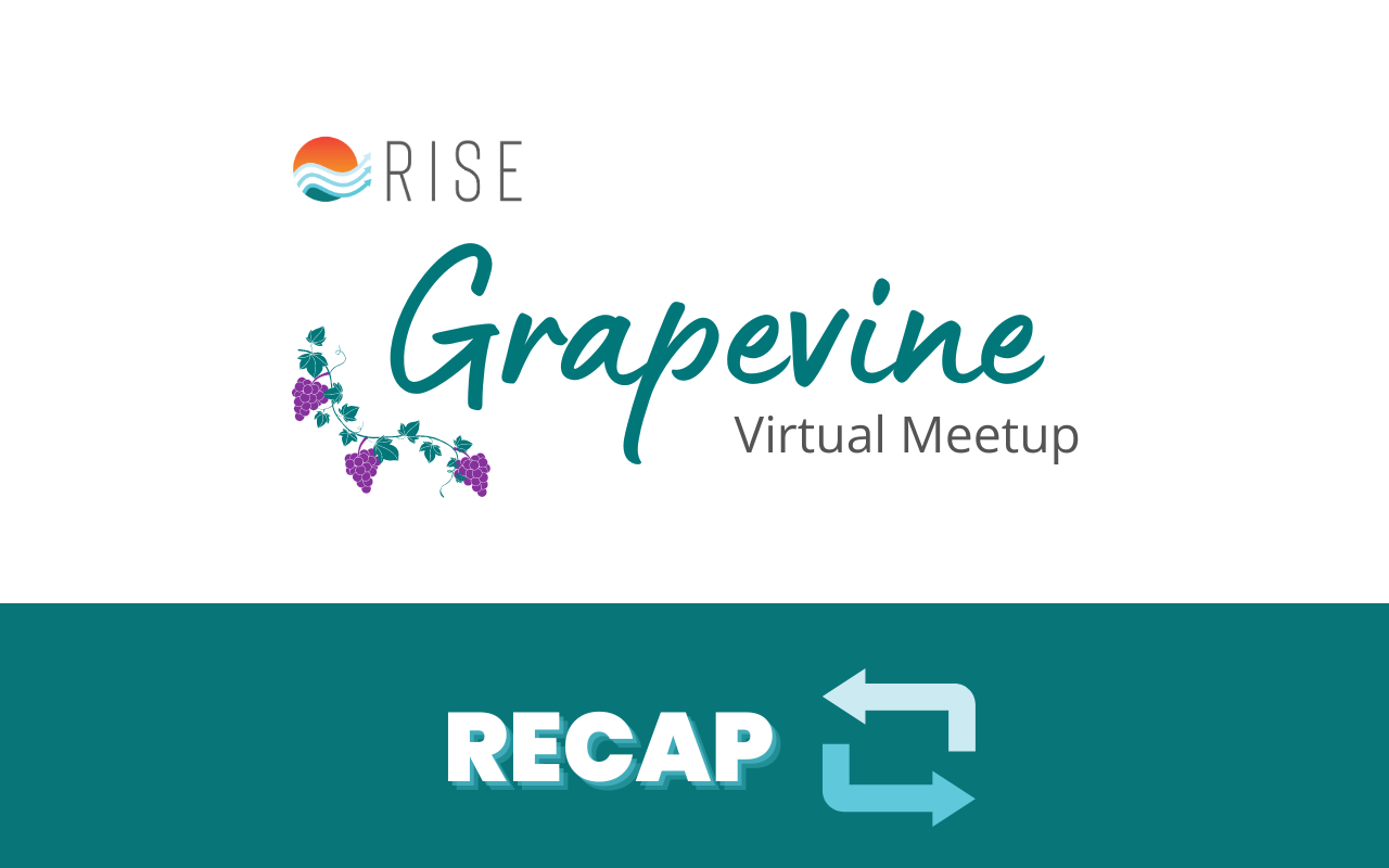 Recap of the RISE Grapevine virtual meetup